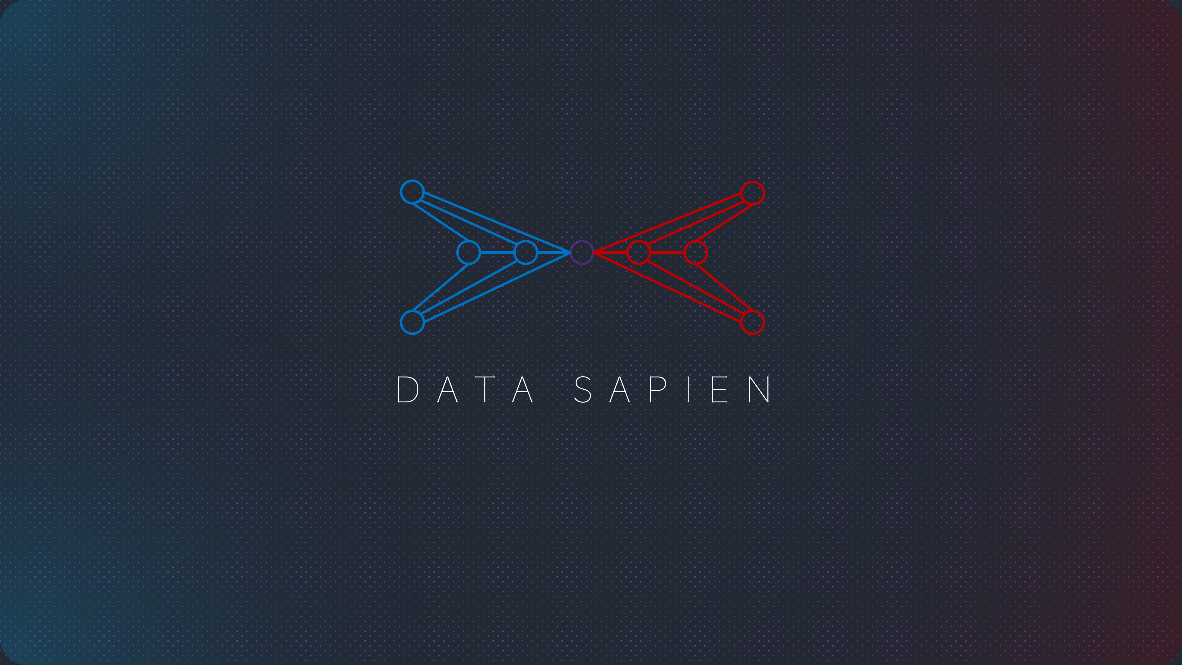Data Sapien logo
